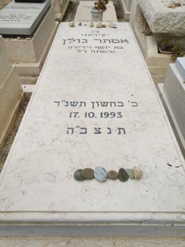 תמונת מצבה