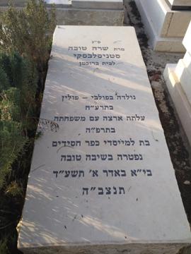 תמונת מצבה