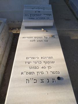 תמונת מצבה