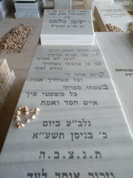 תמונת מצבה