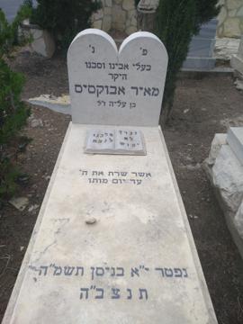 תמונת מצבה