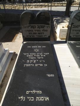 תמונת מצבה