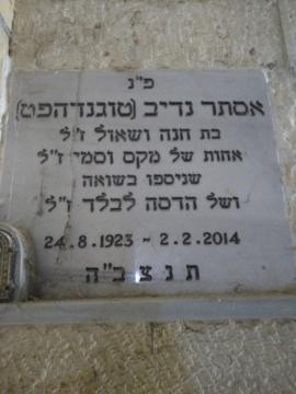 תמונת מצבה