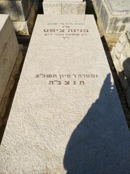 תמונת מצבה
