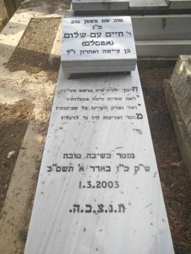 תמונת מצבה