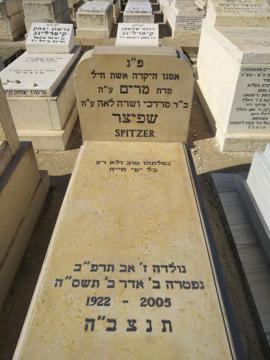 תמונת מצבה