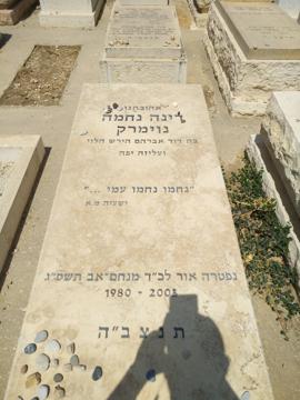 תמונת מצבה