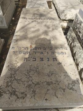 תמונת מצבה