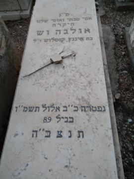 תמונת מצבה