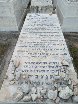 תמונת מצבה