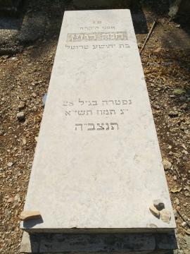 תמונת מצבה