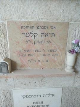 תמונת מצבה
