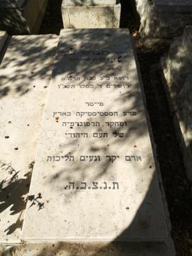 תמונת מצבה