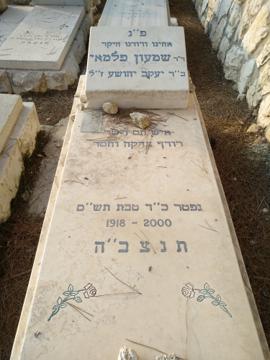 תמונת מצבה