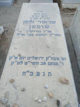 תמונת מצבה