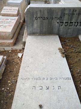 תמונת מצבה
