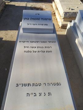 תמונת מצבה