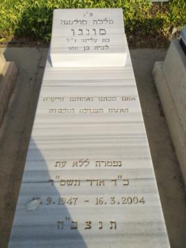 תמונת מצבה
