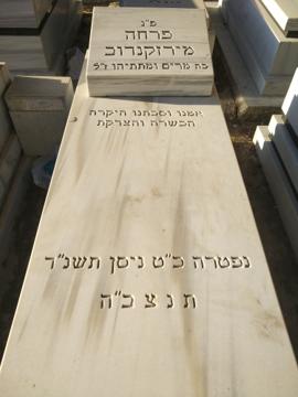 תמונת מצבה