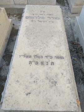 תמונת מצבה