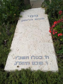 תמונת מצבה