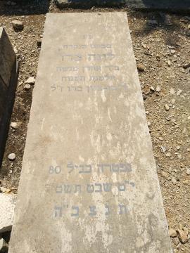 תמונת מצבה
