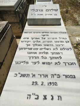 תמונת מצבה