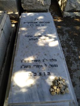 תמונת מצבה