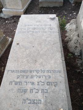 תמונת מצבה