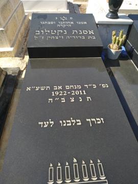 תמונת מצבה