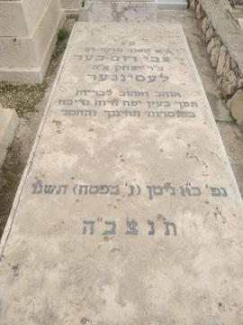 תמונת מצבה