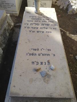 תמונת מצבה