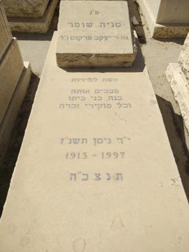 תמונת מצבה