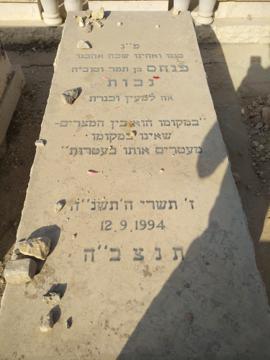 תמונת מצבה