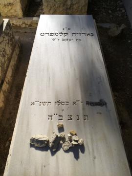 תמונת מצבה