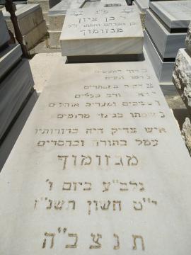 תמונת מצבה