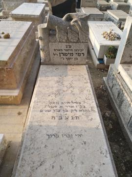 תמונת מצבה