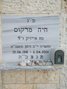 תמונת מצבה