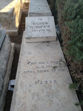 תמונת מצבה