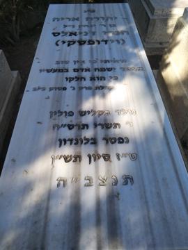 תמונת מצבה