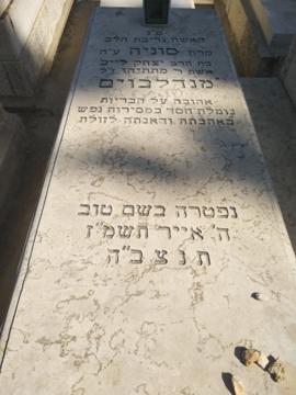 תמונת מצבה