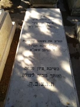 תמונת מצבה