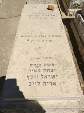 תמונת מצבה