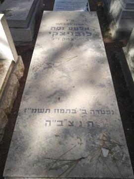 תמונת מצבה