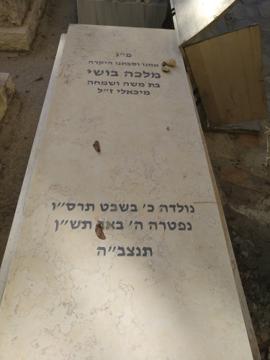 תמונת מצבה