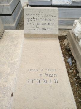 תמונת מצבה