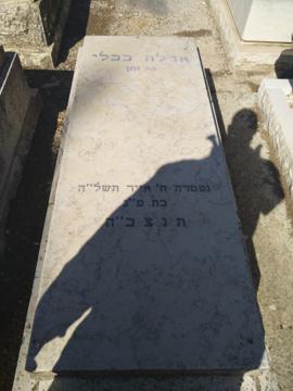 תמונת מצבה