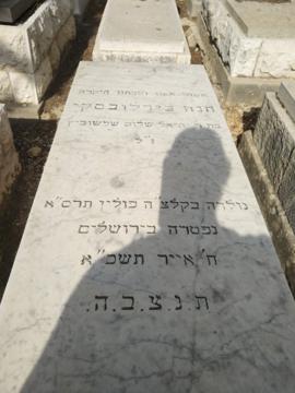 תמונת מצבה