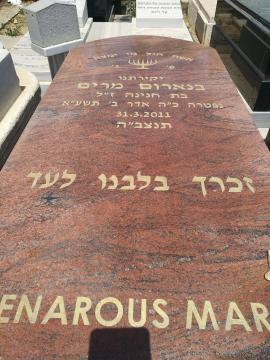 תמונת מצבה