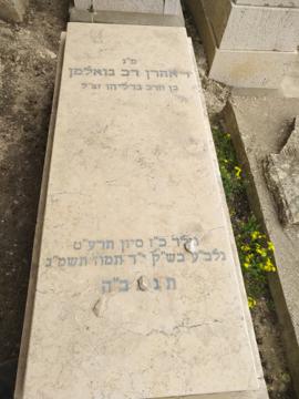 תמונת מצבה